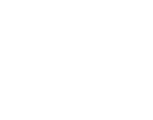 Logo-Brandschool-white