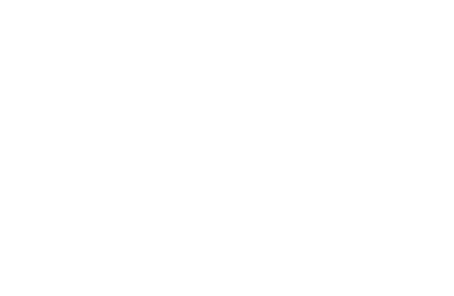 Logo_summerschool_white2